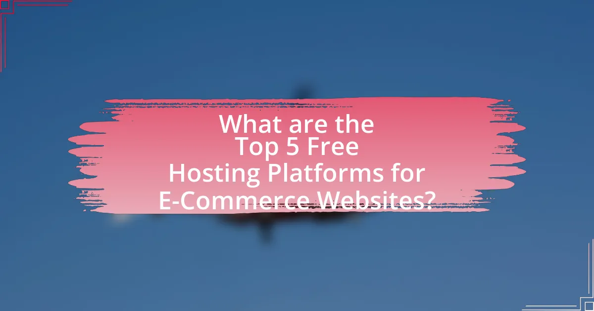 What are the Top 5 Free Hosting Platforms for E-Commerce Websites?